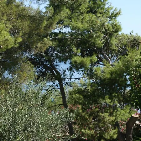 By The Sea Slatine, Ciovo - 6888 تروغير